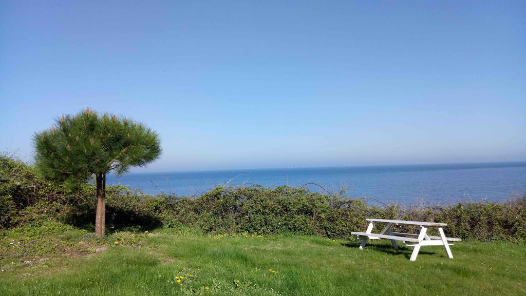 Les Graves Βίλα Villerville Εξωτερικό φωτογραφία